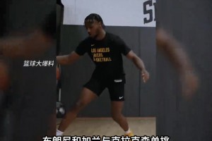 布朗尼与加兰克拉克森最新单挑视频！